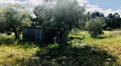 Terrain à Palmela de 1 086 m²