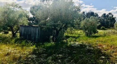 Terrain à Palmela de 1 086 m²