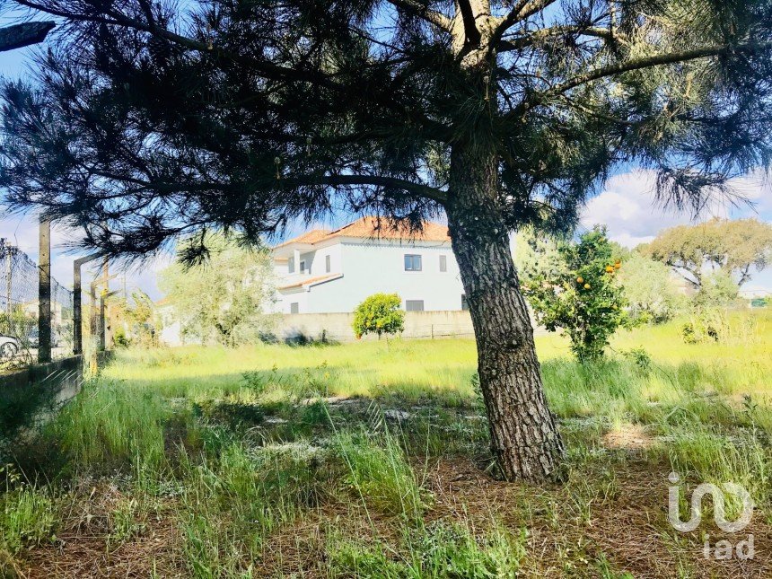 Terrain à Palmela de 2 171 m²