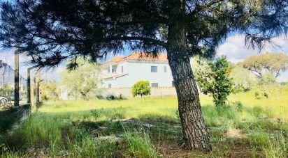 Terrain à Palmela de 2 171 m²