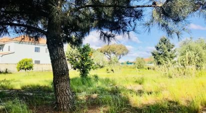 Terrain à Palmela de 2 171 m²