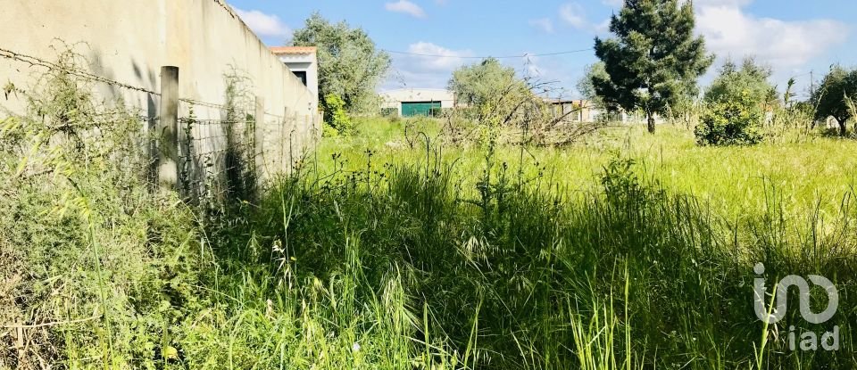 Terrain à Palmela de 2 171 m²