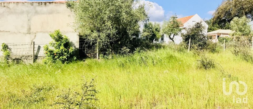 Terrain à Palmela de 2 171 m²