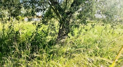 Terrain à Palmela de 2 171 m²