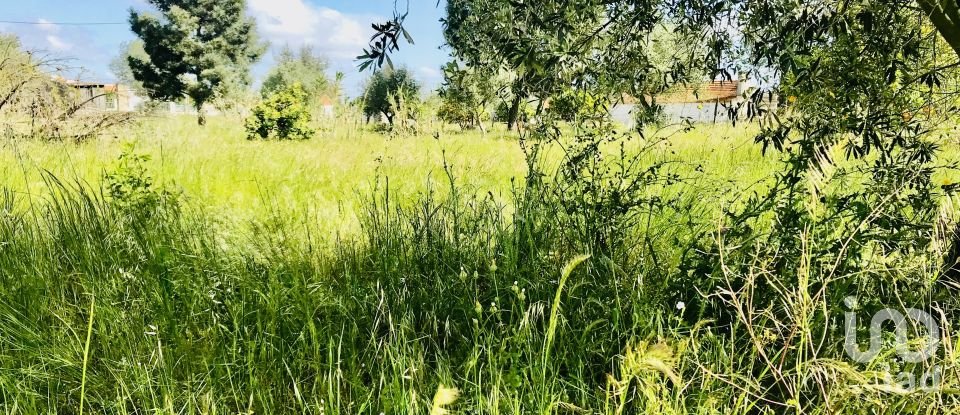 Terrain à Palmela de 2 171 m²