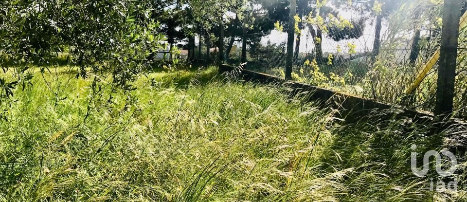 Terrain à Palmela de 2 171 m²