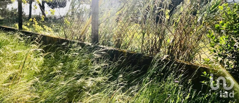 Terrain à Palmela de 2 171 m²