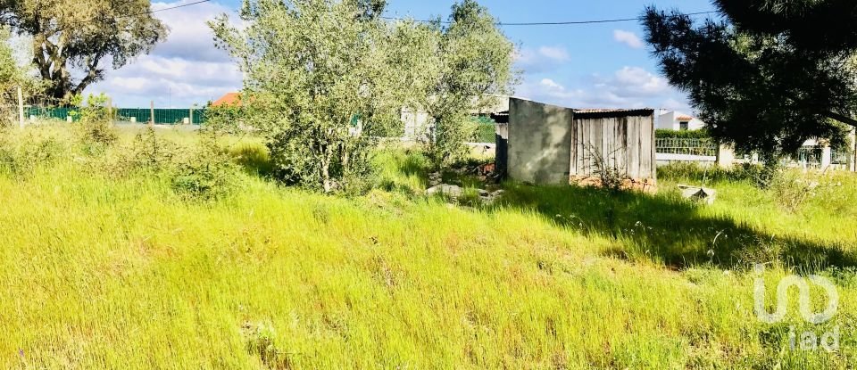 Terrain à Palmela de 2 171 m²