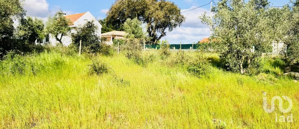 Terrain à Palmela de 2 171 m²