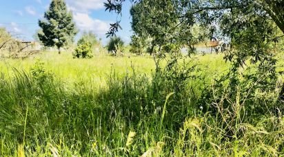 Terrain à Palmela de 2 171 m²