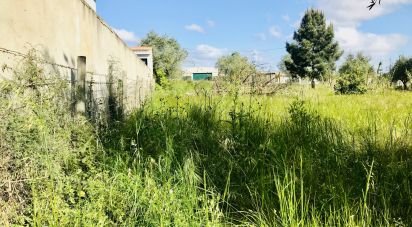 Terrain à Palmela de 2 171 m²