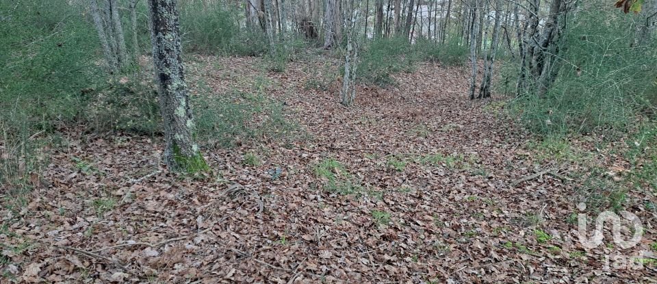 Terrain à Sande, Vilarinho, Barros e Gomide de 6 101 m²