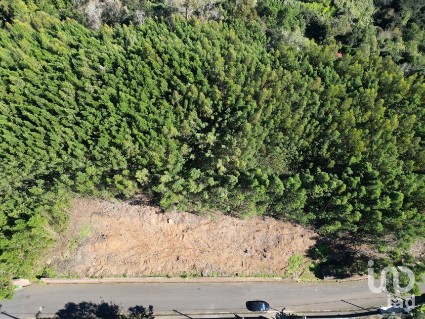 Terreno em Caniço de 1 490 m²