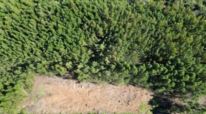 Terrain à Caniço de 1 490 m²