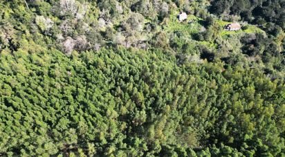 Terrain à Caniço de 1 490 m²