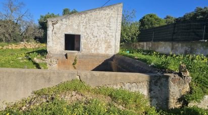 Land in Almancil of 3,825 m²