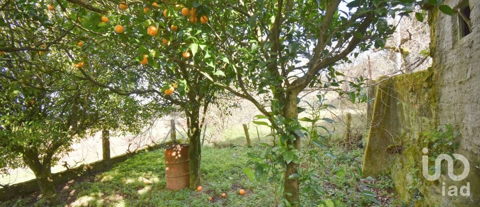 Maison de village T2 à Vila Nova de 223 m²