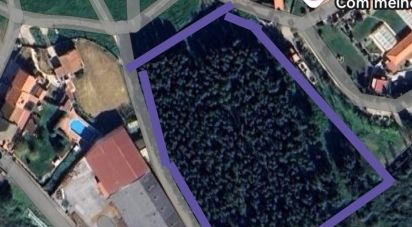 Terrain à Santo Quintino de 11 400 m²