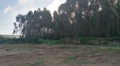 Terrain à Santo Quintino de 11 400 m²