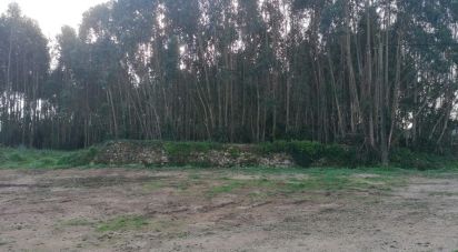 Terrain à Santo Quintino de 11 400 m²