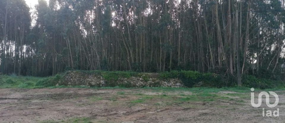 Terrain à Santo Quintino de 11 400 m²