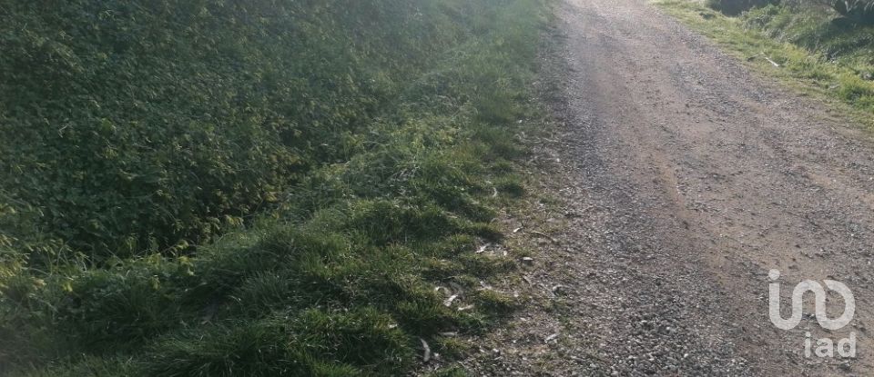 Terrain à Santo Quintino de 11 400 m²