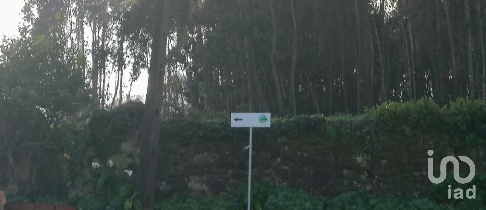 Terrain à Santo Quintino de 11 400 m²