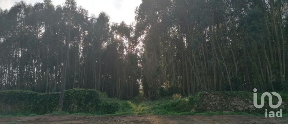 Terrain à Santo Quintino de 11 400 m²