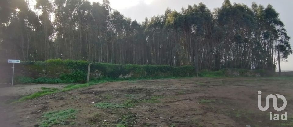 Terrain à Santo Quintino de 11 400 m²