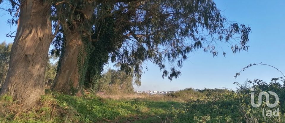 Terrain à Santo Quintino de 11 400 m²