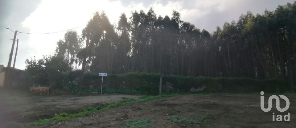 Terrain à Santo Quintino de 11 400 m²