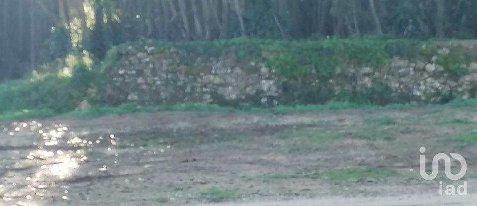 Terrain à Santo Quintino de 11 400 m²