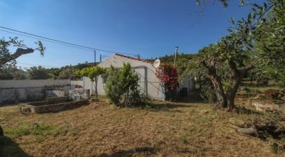 Ferme T3 à Esperança de 106 m²