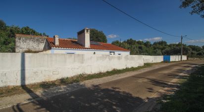 Ferme T3 à Esperança de 106 m²
