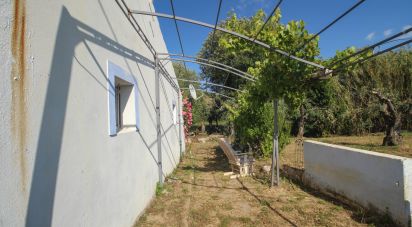 Ferme T3 à Esperança de 106 m²