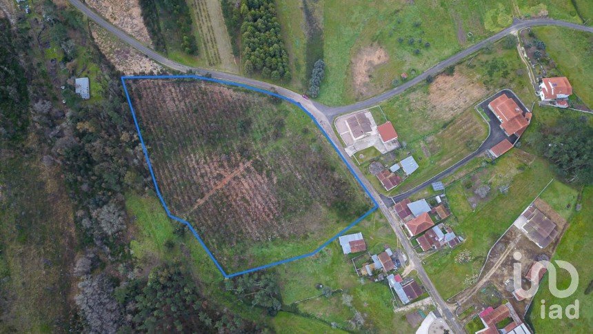 Terreno rústico em Soure de 12 000 m²