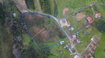 Farm land in Soure of 12,000 m²