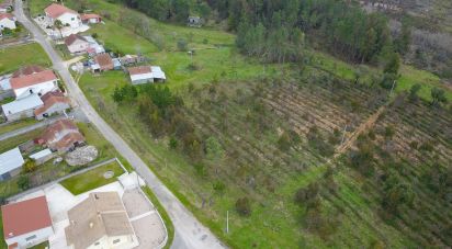 Farm land in Soure of 12,000 m²