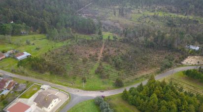 Farm land in Soure of 12,000 m²