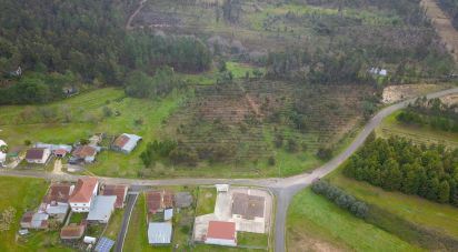 Farm land in Soure of 12,000 m²