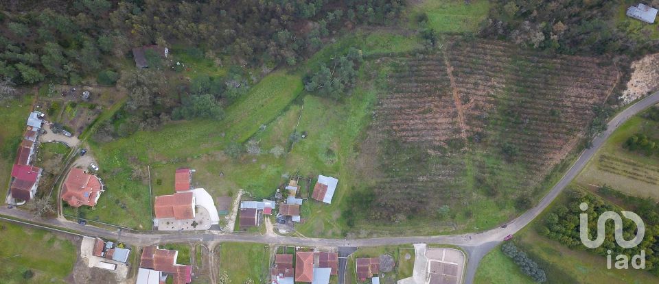 Terreno rústico em Soure de 12 000 m²