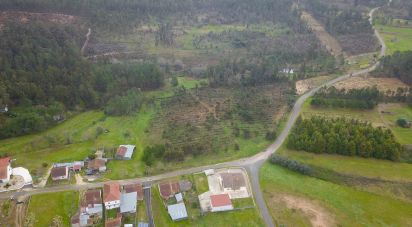 Farm land in Soure of 12,000 m²