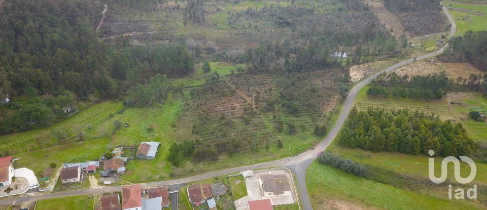 Terreno rústico em Soure de 12 000 m²