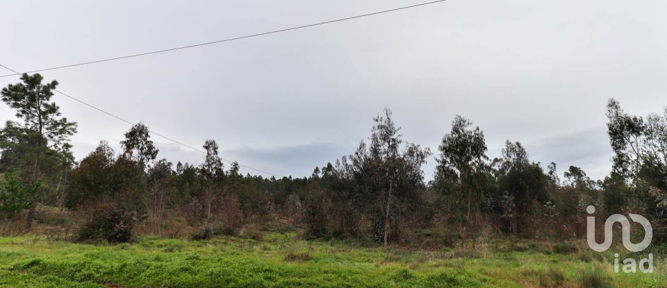 Terreno rústico em Soure de 12 000 m²