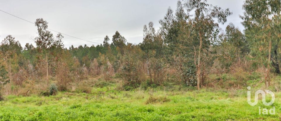 Terreno rústico em Soure de 12 000 m²
