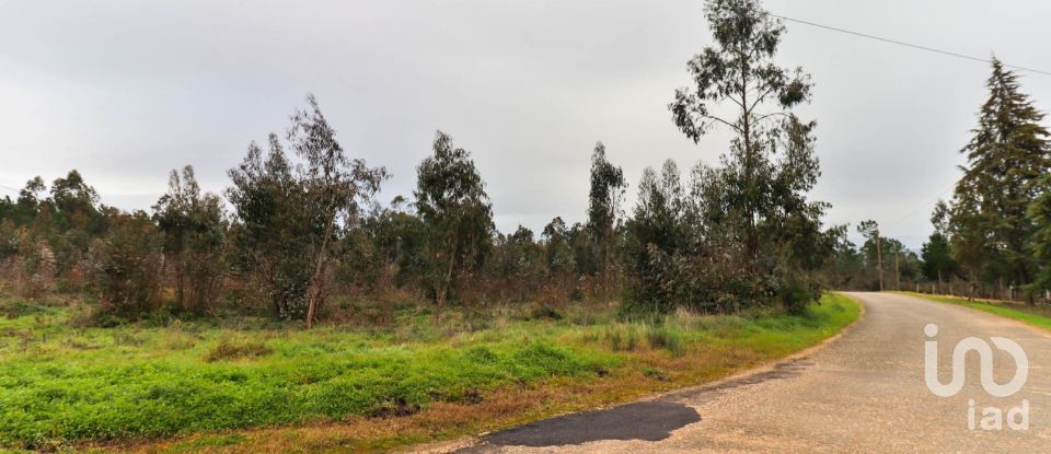 Terreno rústico em Soure de 12 000 m²