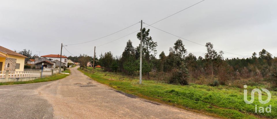 Terreno rústico em Soure de 12 000 m²