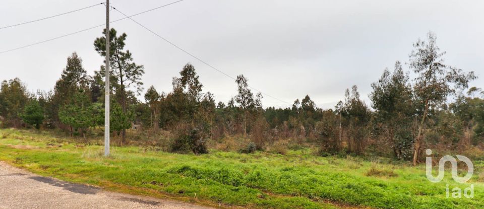 Terreno rústico em Soure de 12 000 m²