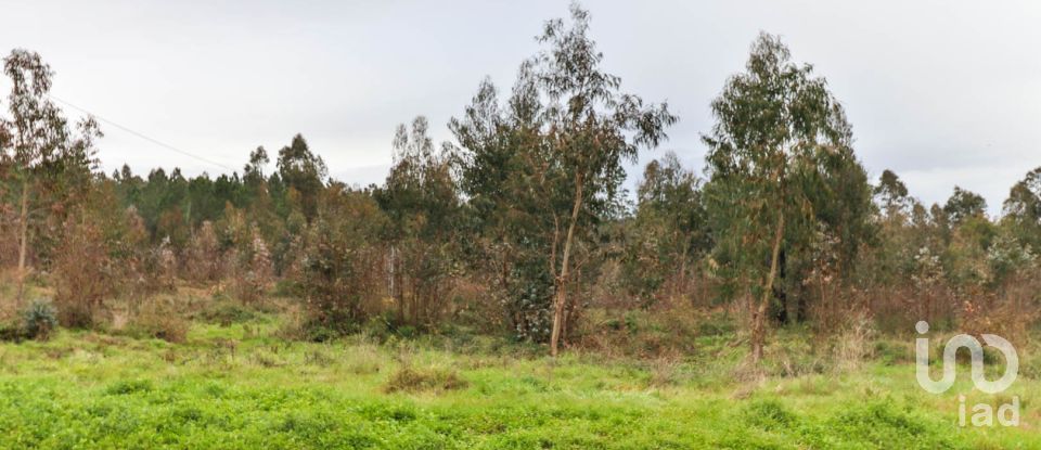 Terreno rústico em Soure de 12 000 m²