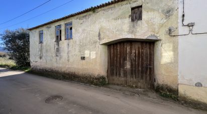 Maison traditionnelle T1 à Gândaras de 160 m²